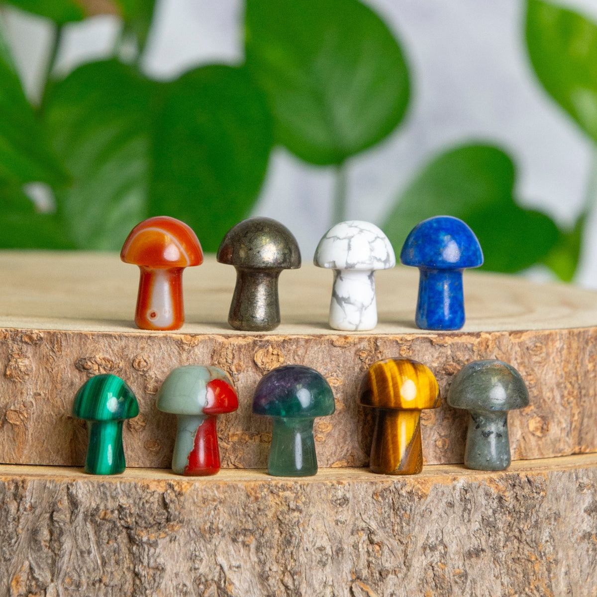 Howlite Mini Mushroom