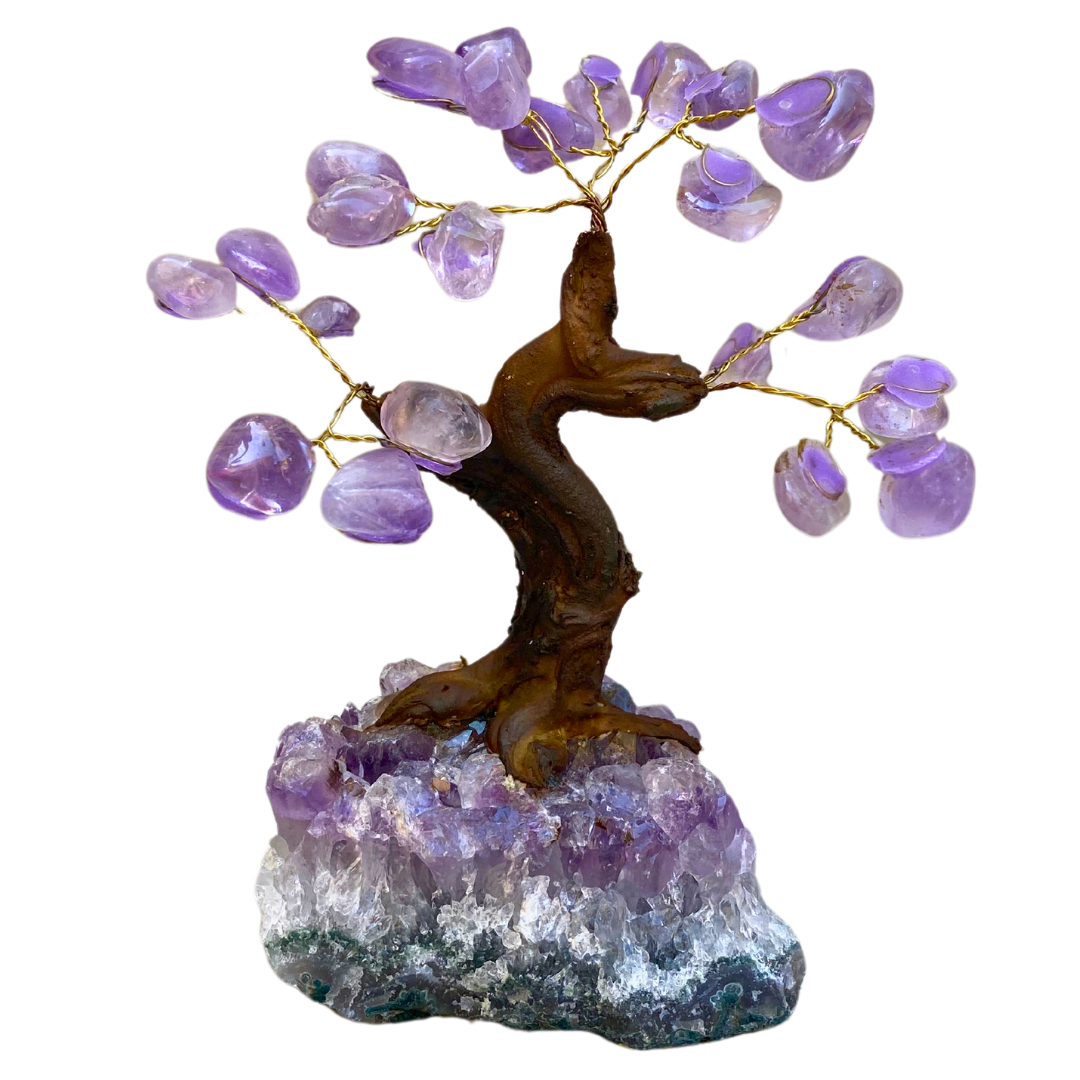 money tree 1800 number Amethyst Money Tree, Shop Amethyst Home Decor at Energy Muse