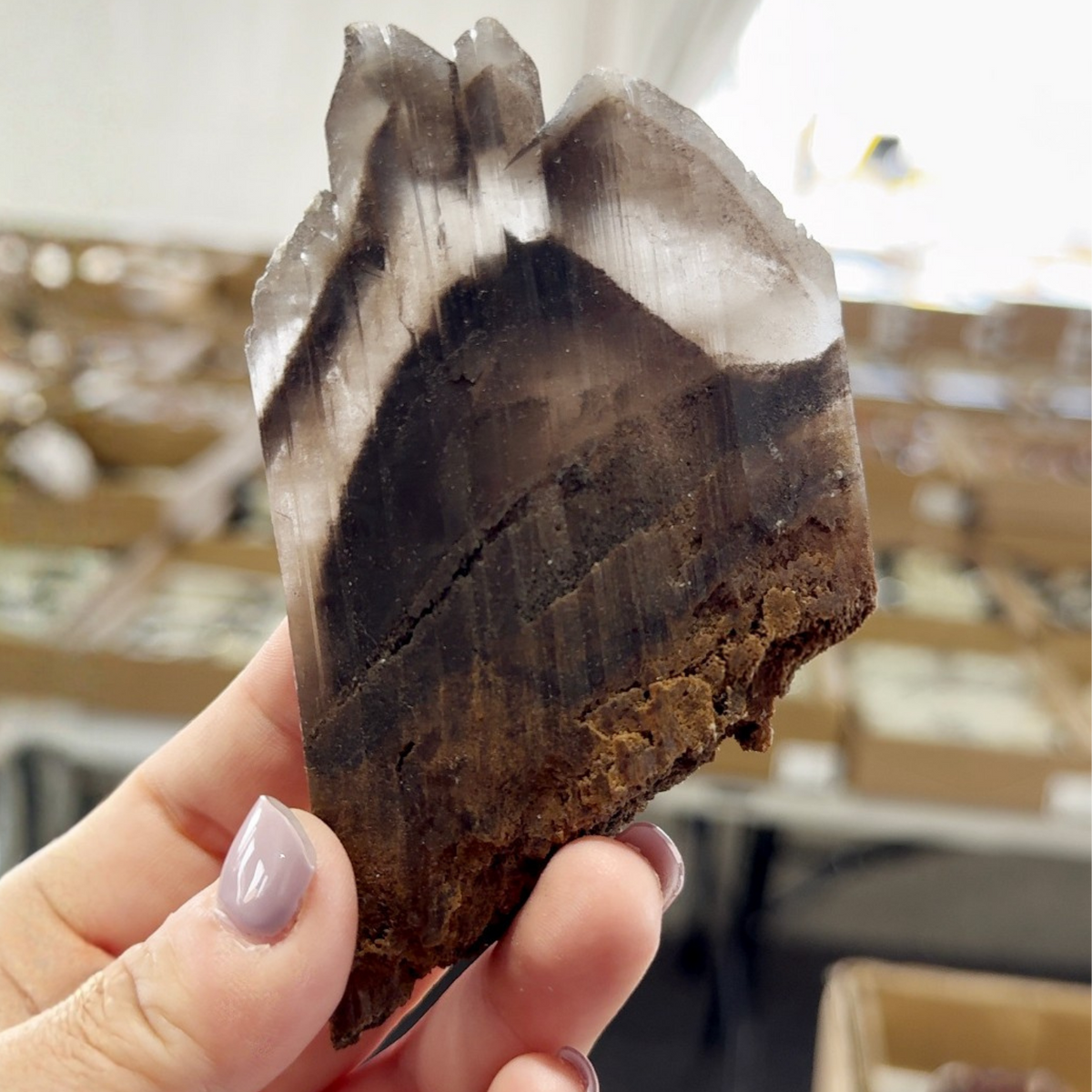 Black Phantom Selenite