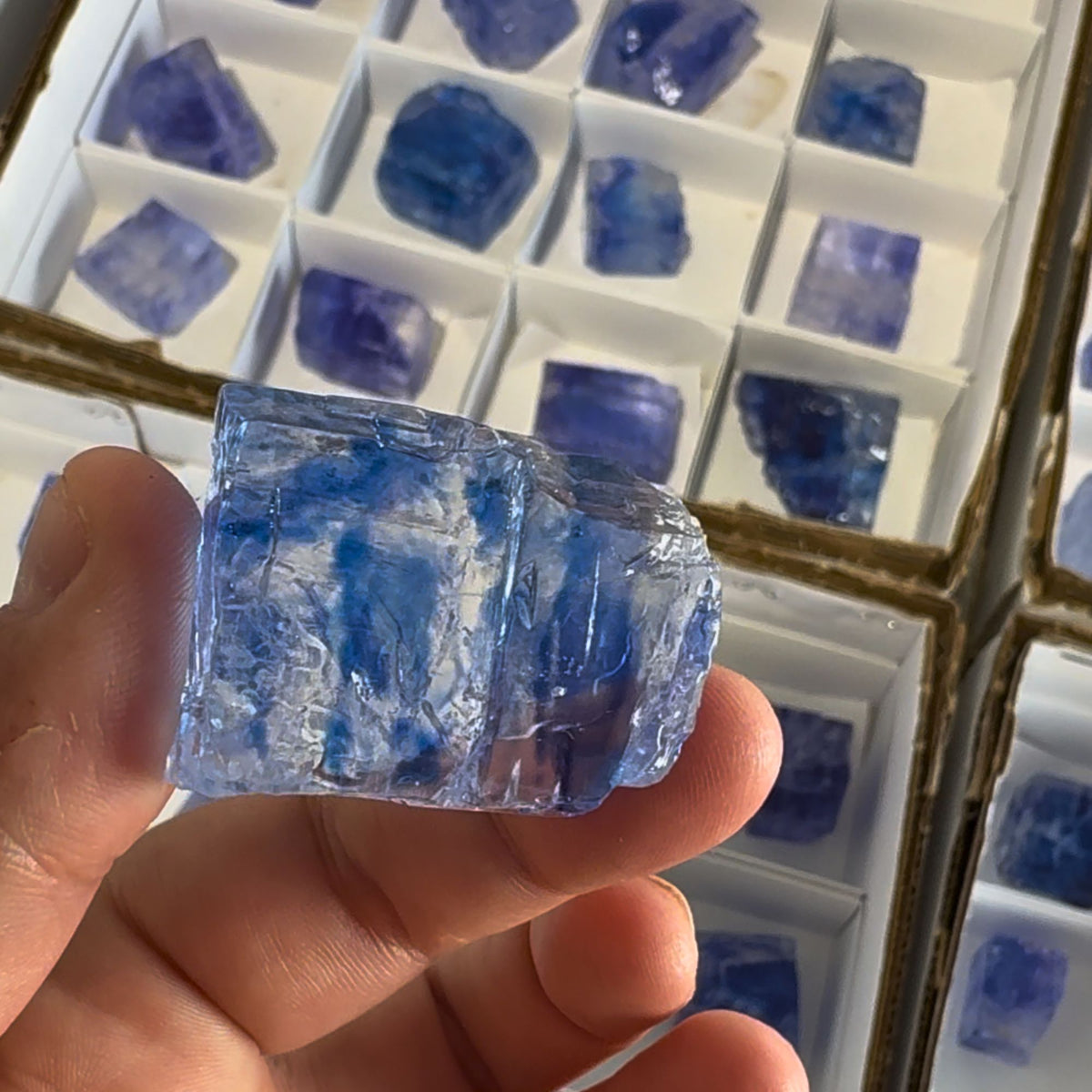 Blue Halite
