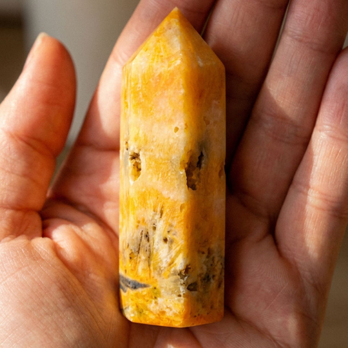 Bumble Bee Jasper Point