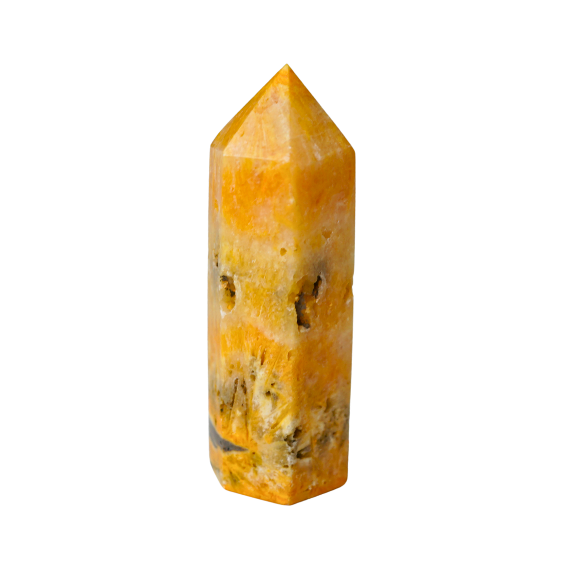 Bumble Bee Jasper Point