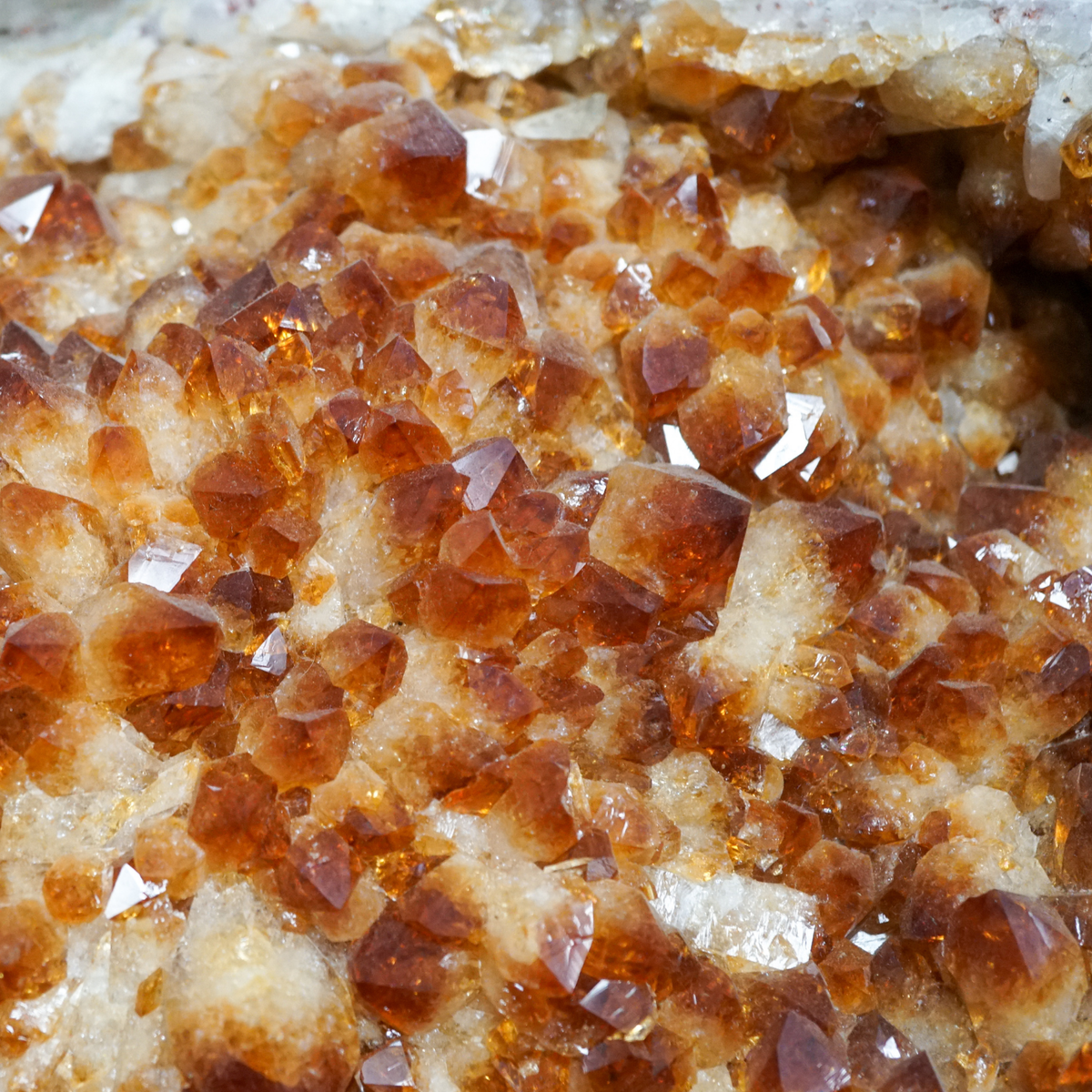 HUGE Citrine Geode Heart • 53.5 lbs