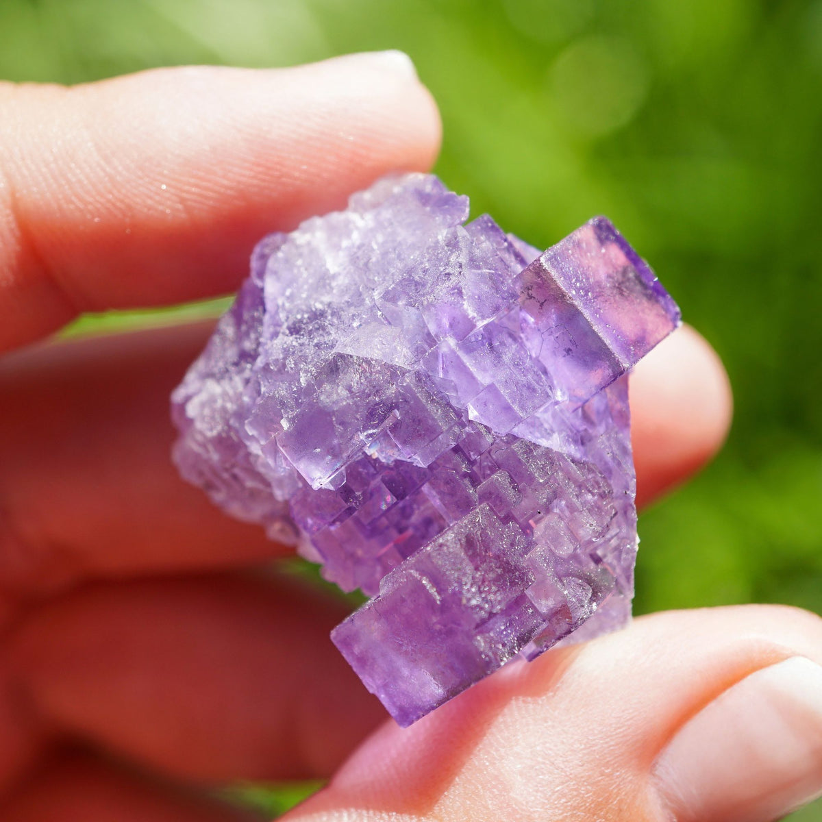 Purple Cubic Fluorite
