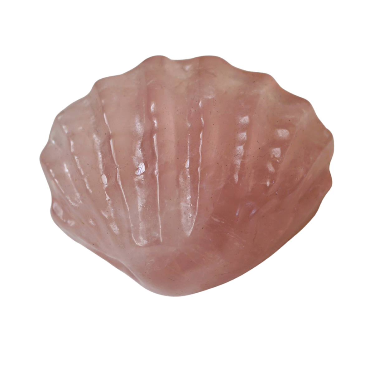 Rose Quartz Scallop Shell