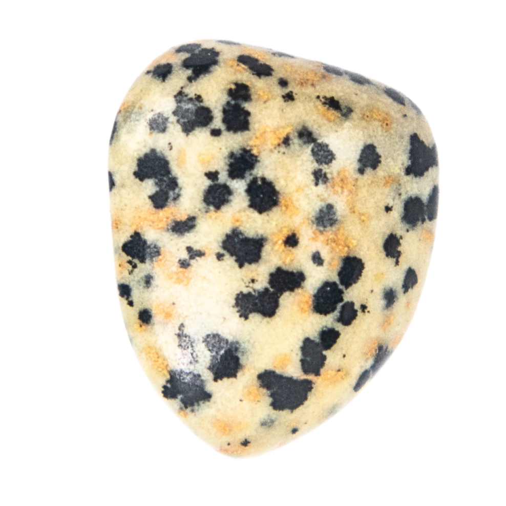Dalmatian Jasper Stone, Shop Dalmatian Jasper at Energy Muse