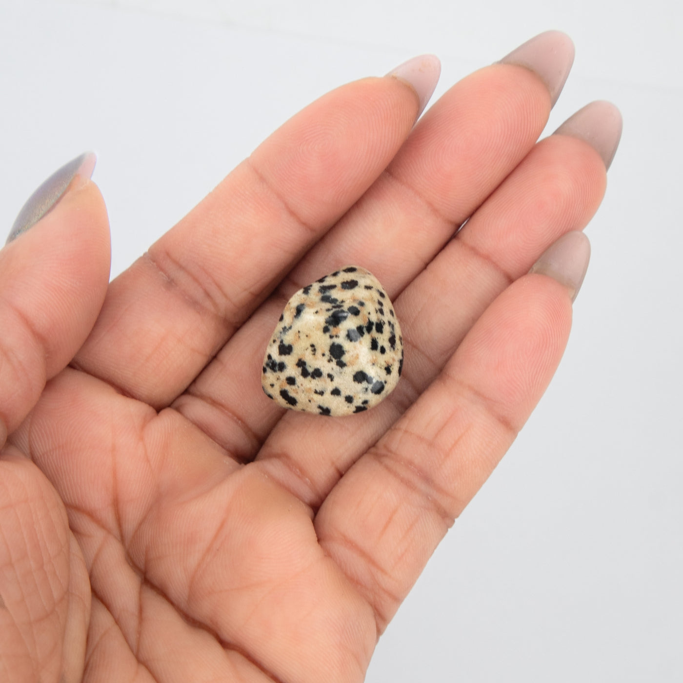 woman holding dalmatian jasper small polished tumbled stone by Energy Muse