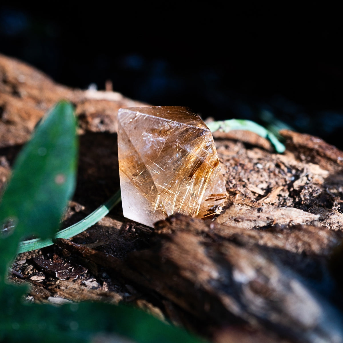 Rutilated Quartz Free-form Crystal