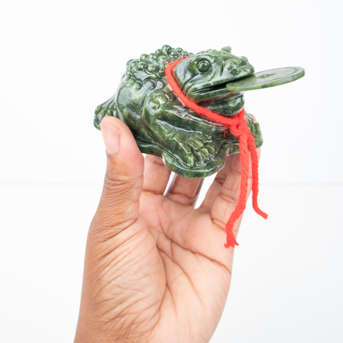 Serpentine Money Frog