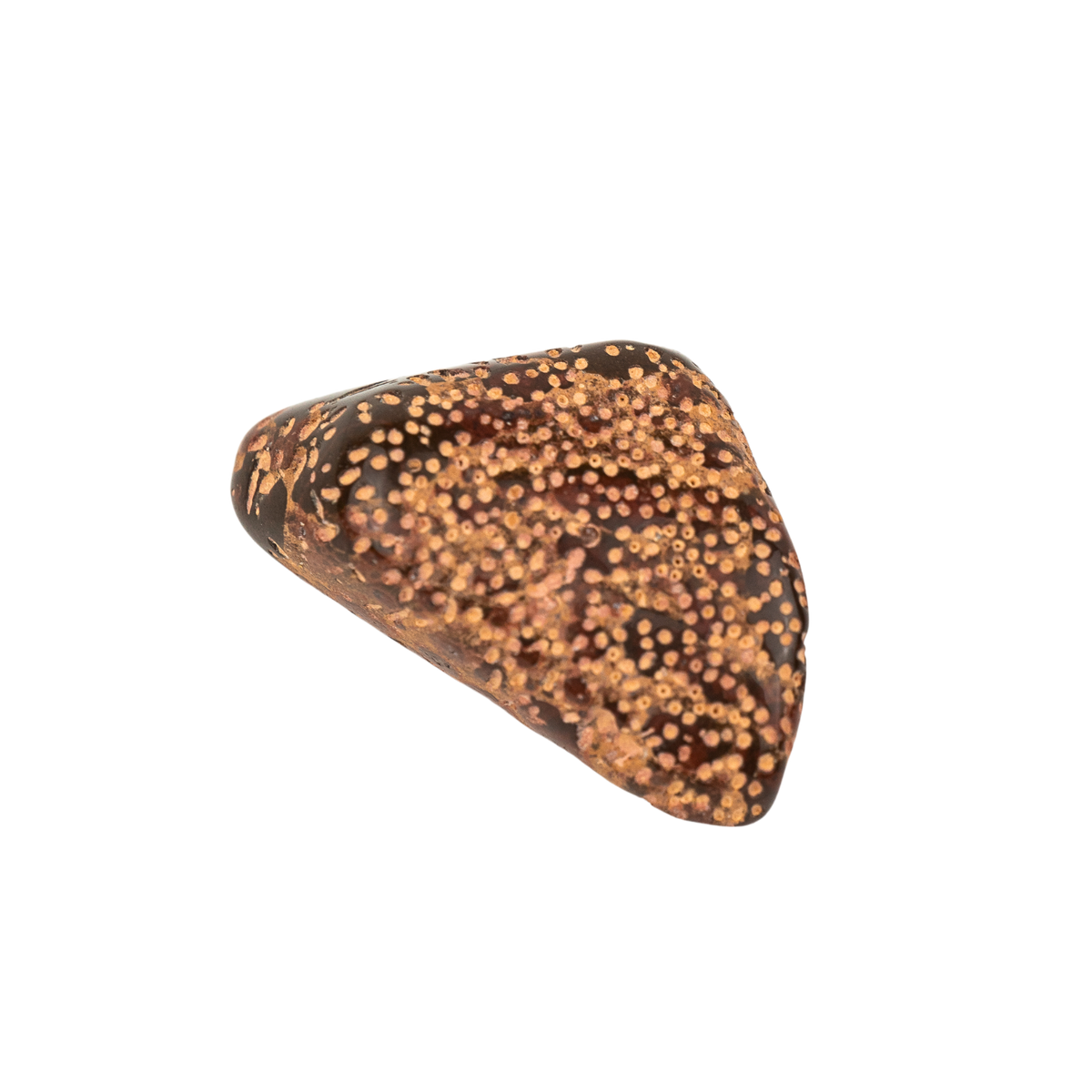 Star Jasper Stone