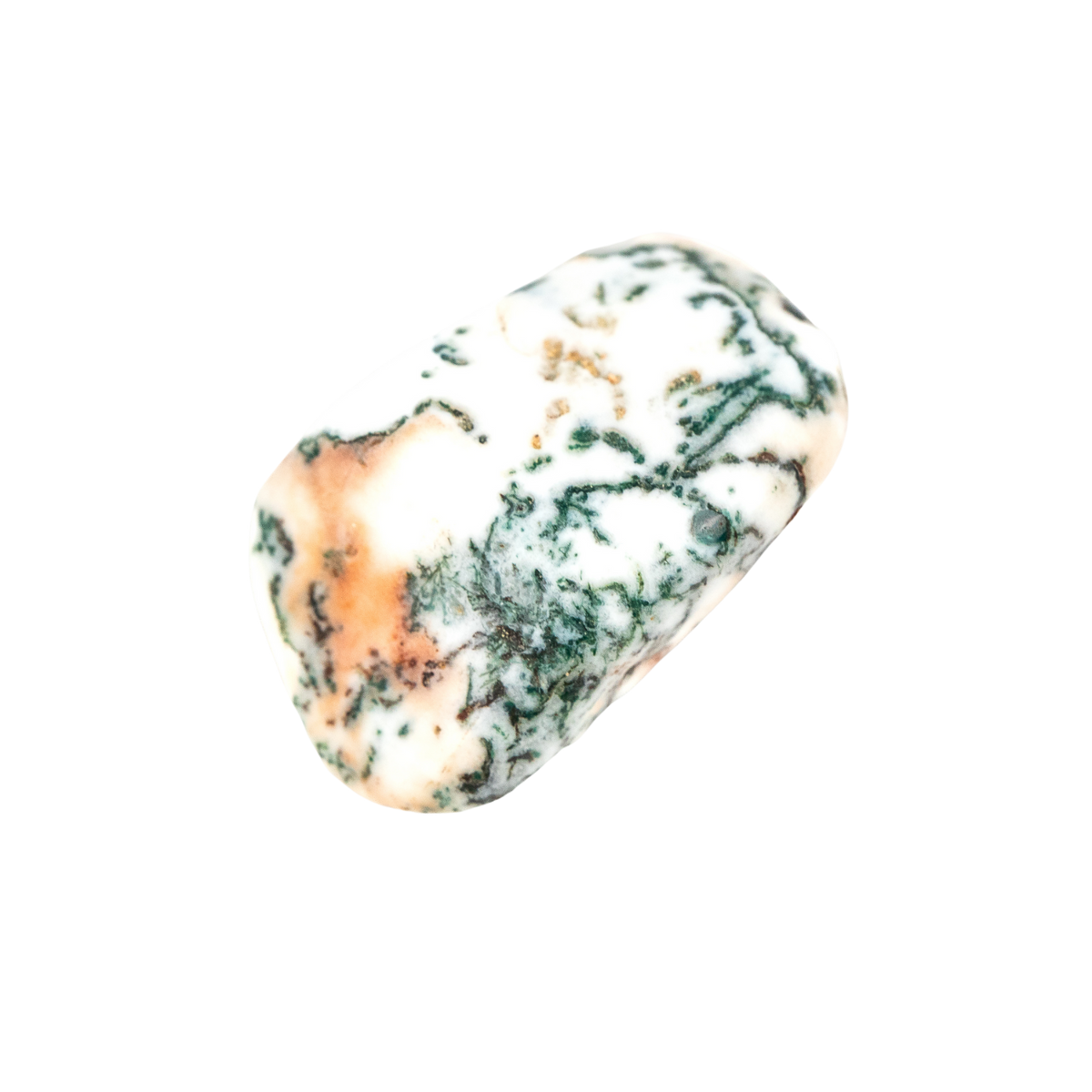 Tree Agate Stone