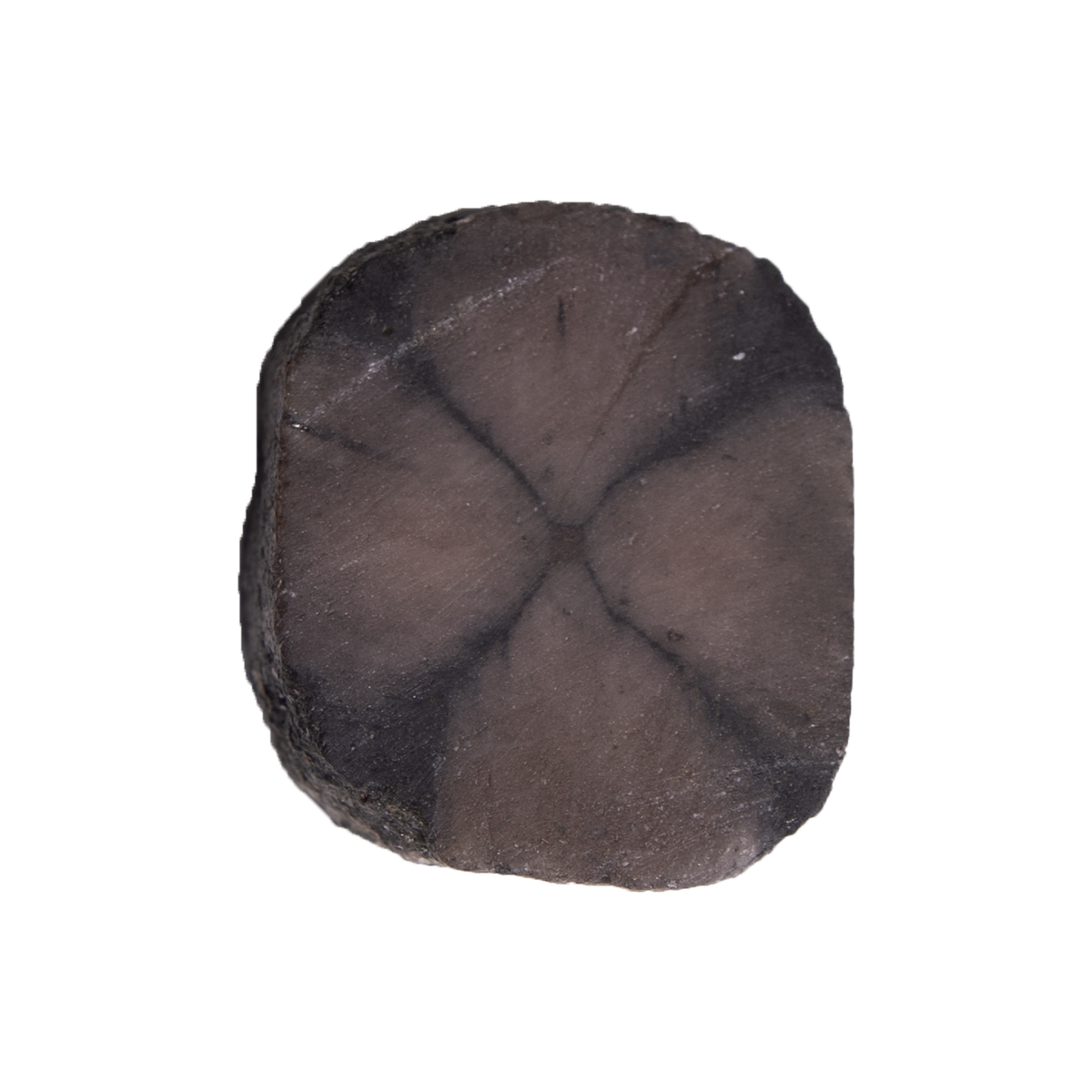 Chiastolite Slice