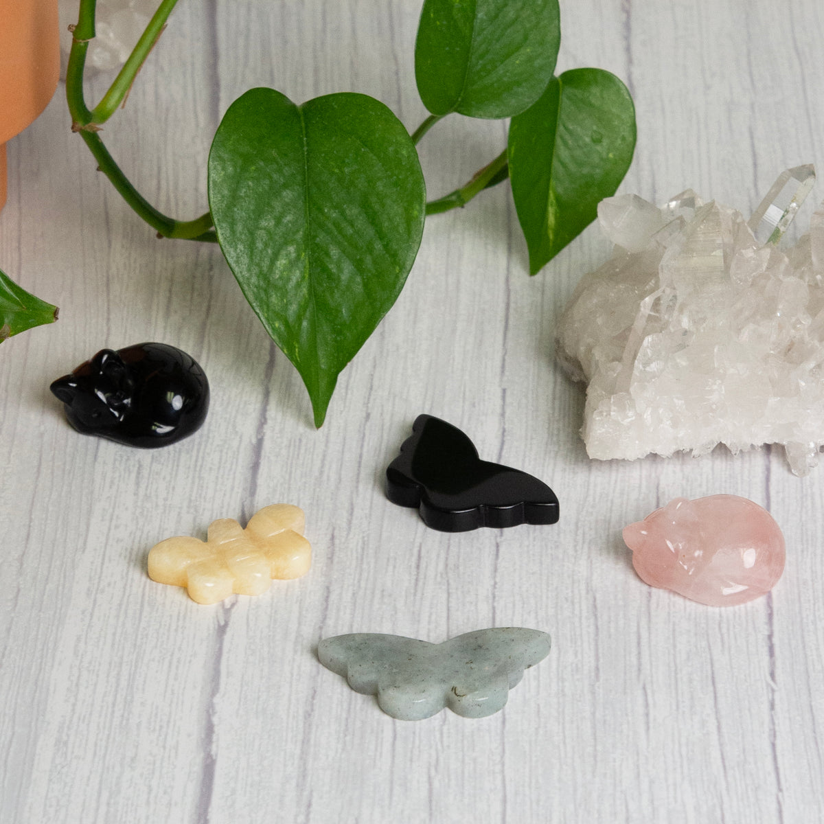 Collection of crystal cats, butterflies, and bumble bee by Energy Muse for spring and Easter 2023.