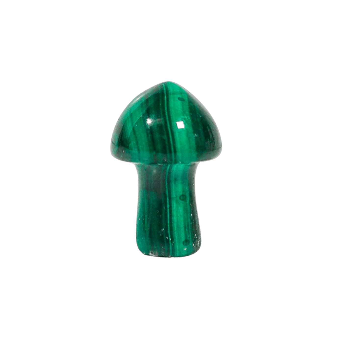 Malachite Crystal Mushroom