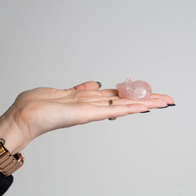 Woman holding rose quartz curled cat crystal carving by Energy Muse