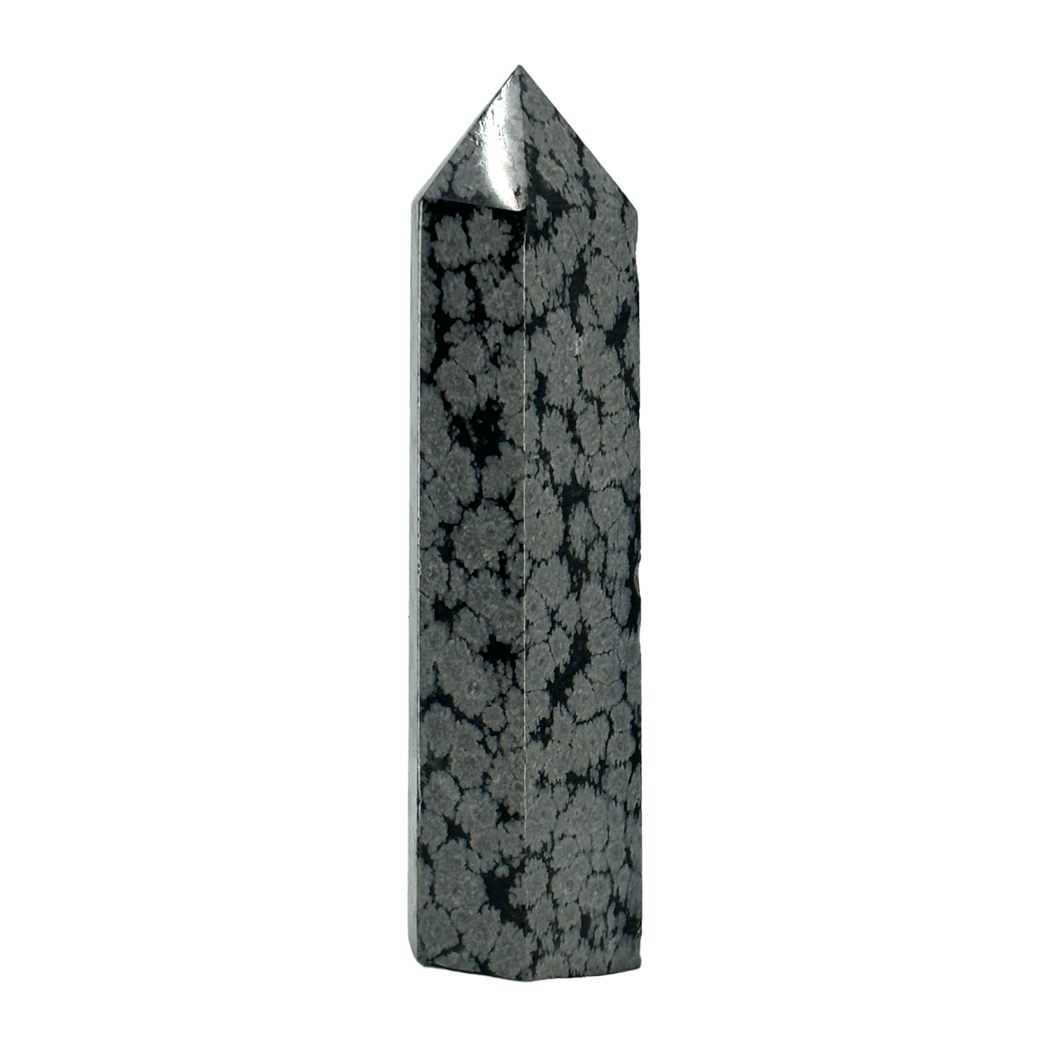 Snowflake Obsidian Shop Obsidian at Energy Muse