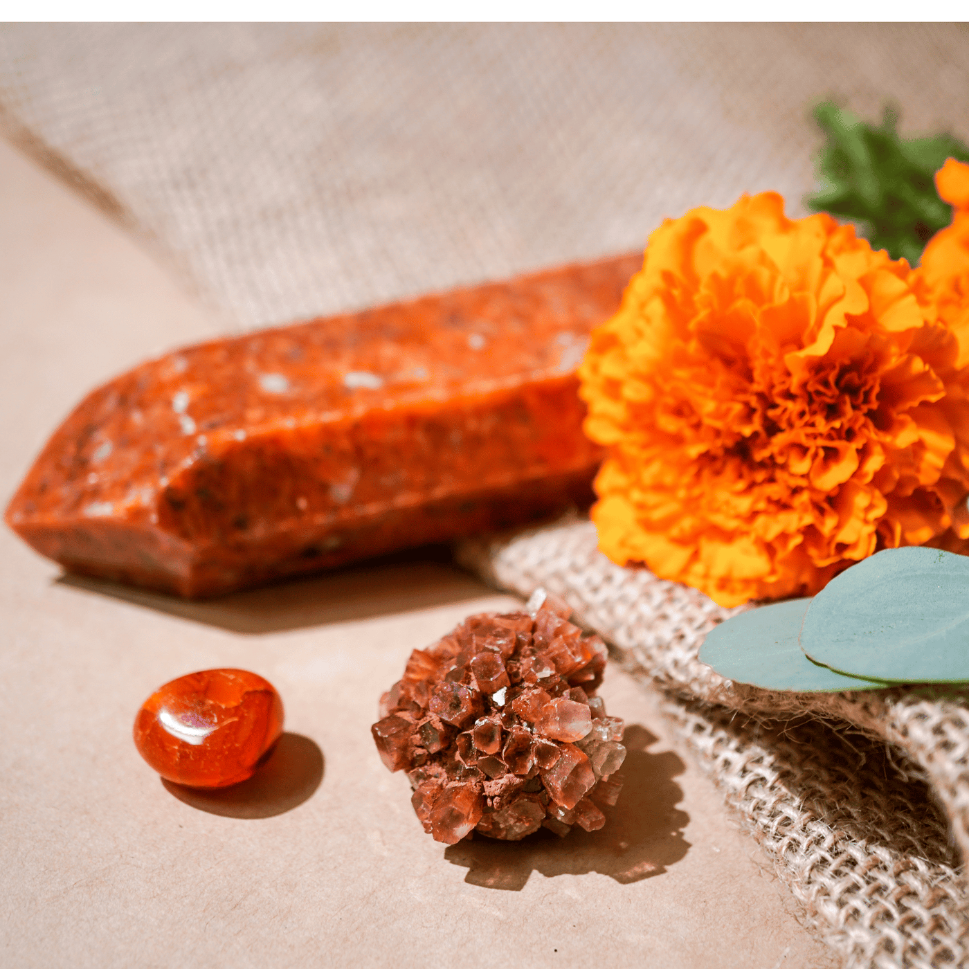 5 Crystals for the Fall Equinox