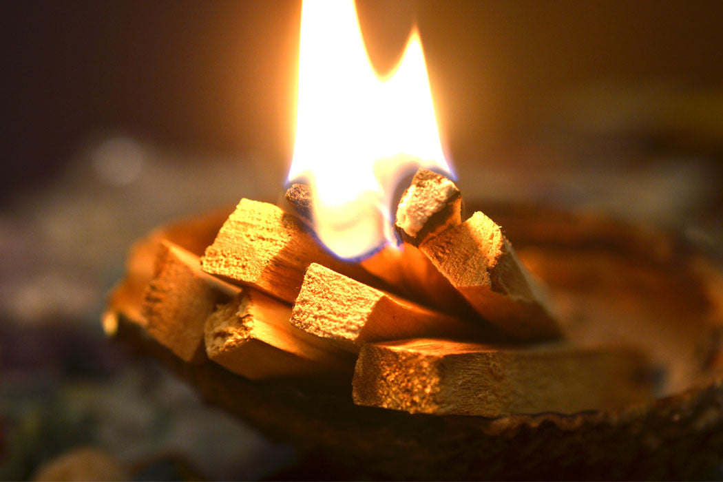 Palo Santo Uses
