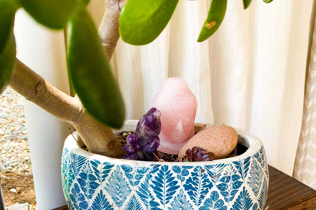 How to Create a Plant Crystal Altar for Wealth, Protection & More