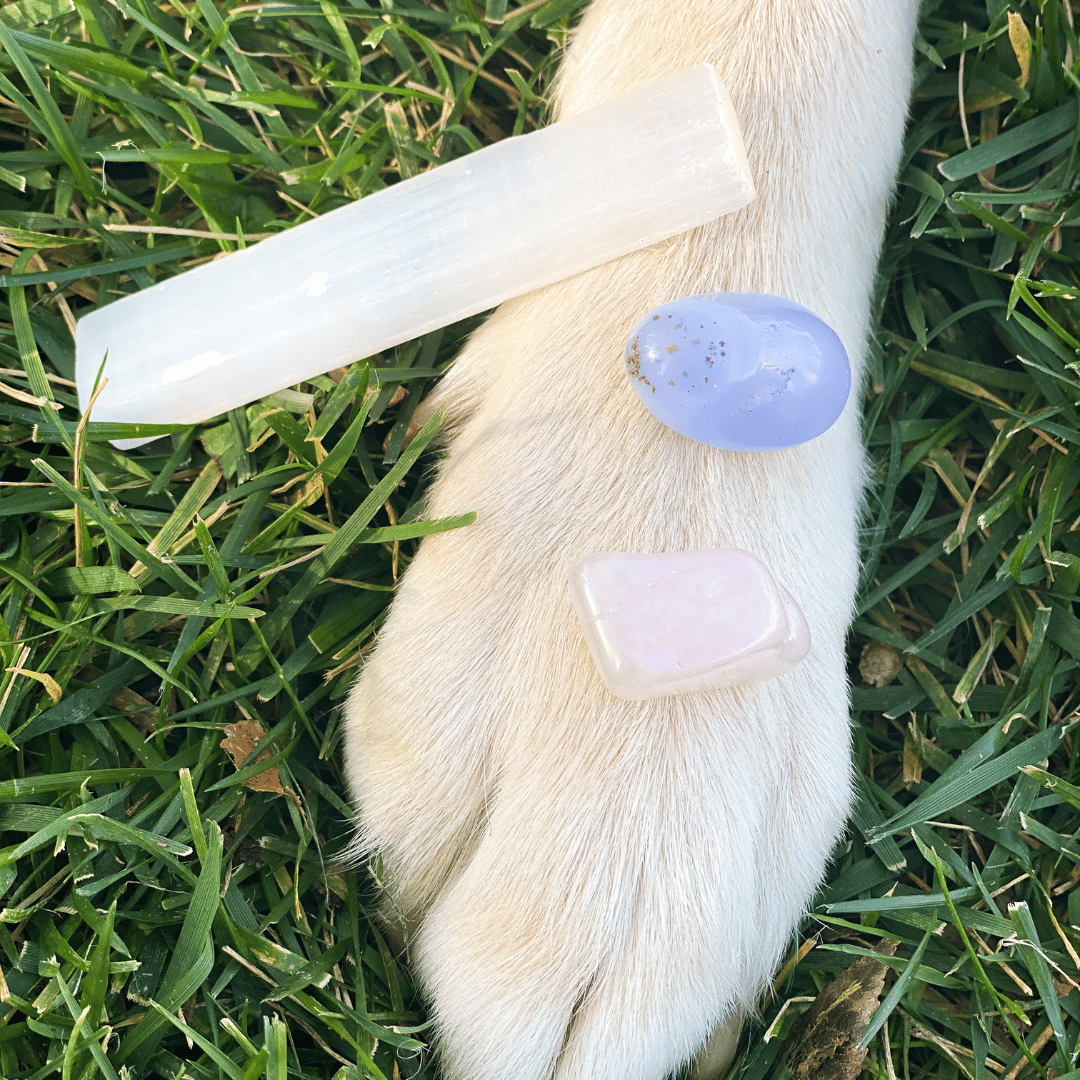 For Anxious Pets Tumbled Stone Bundle