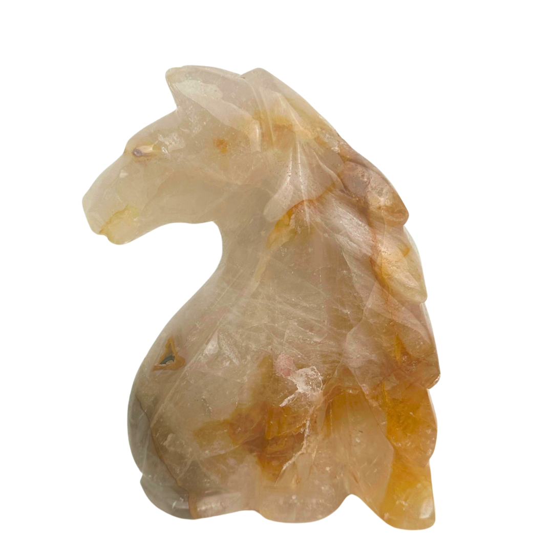 Golden Healer Horse Head