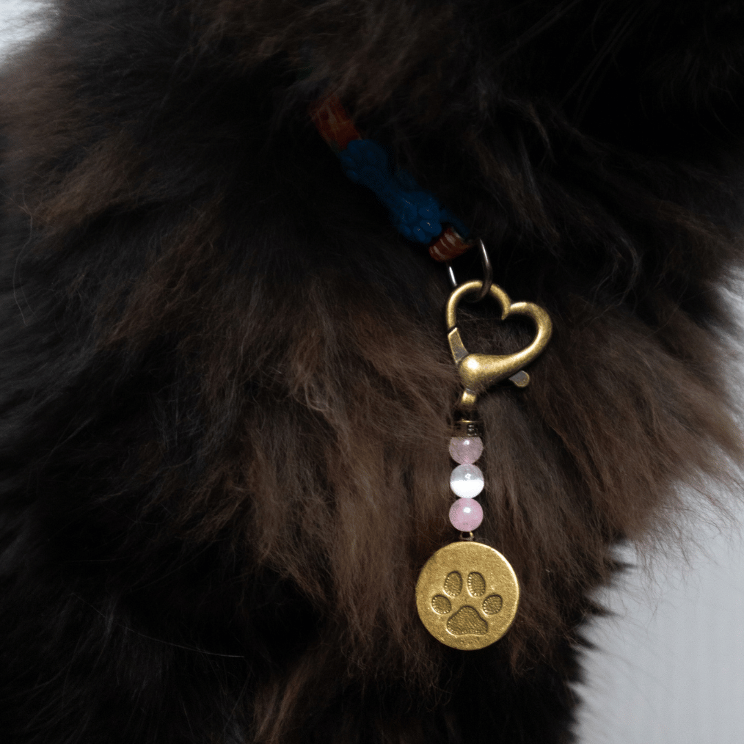 Love Pet Charm