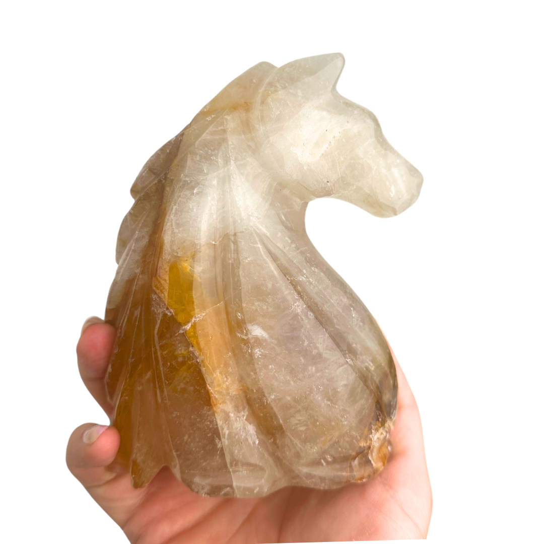 Golden Healer Horse Head