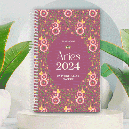 AstroTwins 2024 Daily Horoscope Planner