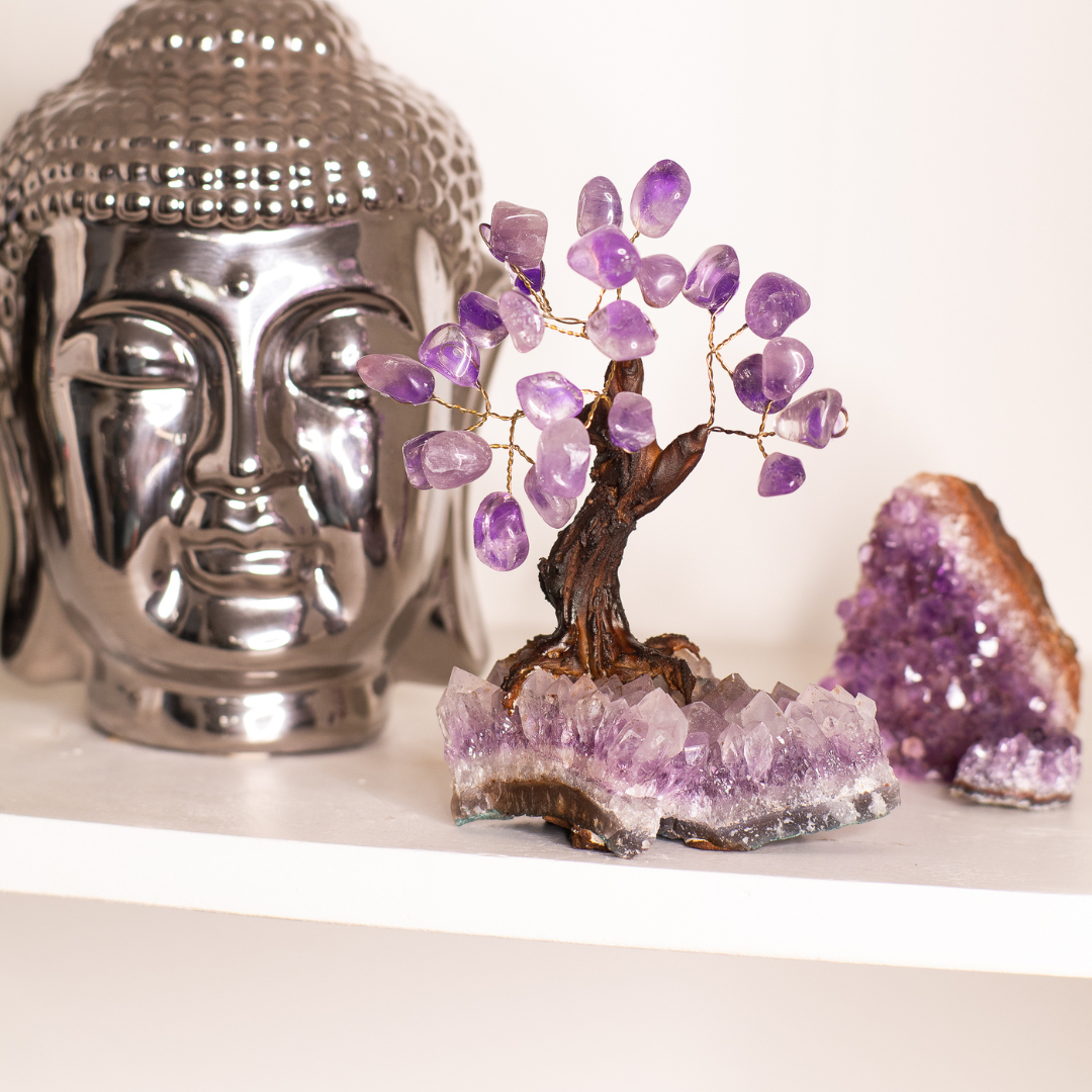 amethyst money tree Amethyst Money Tree, Shop Amethyst Home Decor at Energy Muse