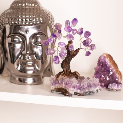 Amethyst Money Tree