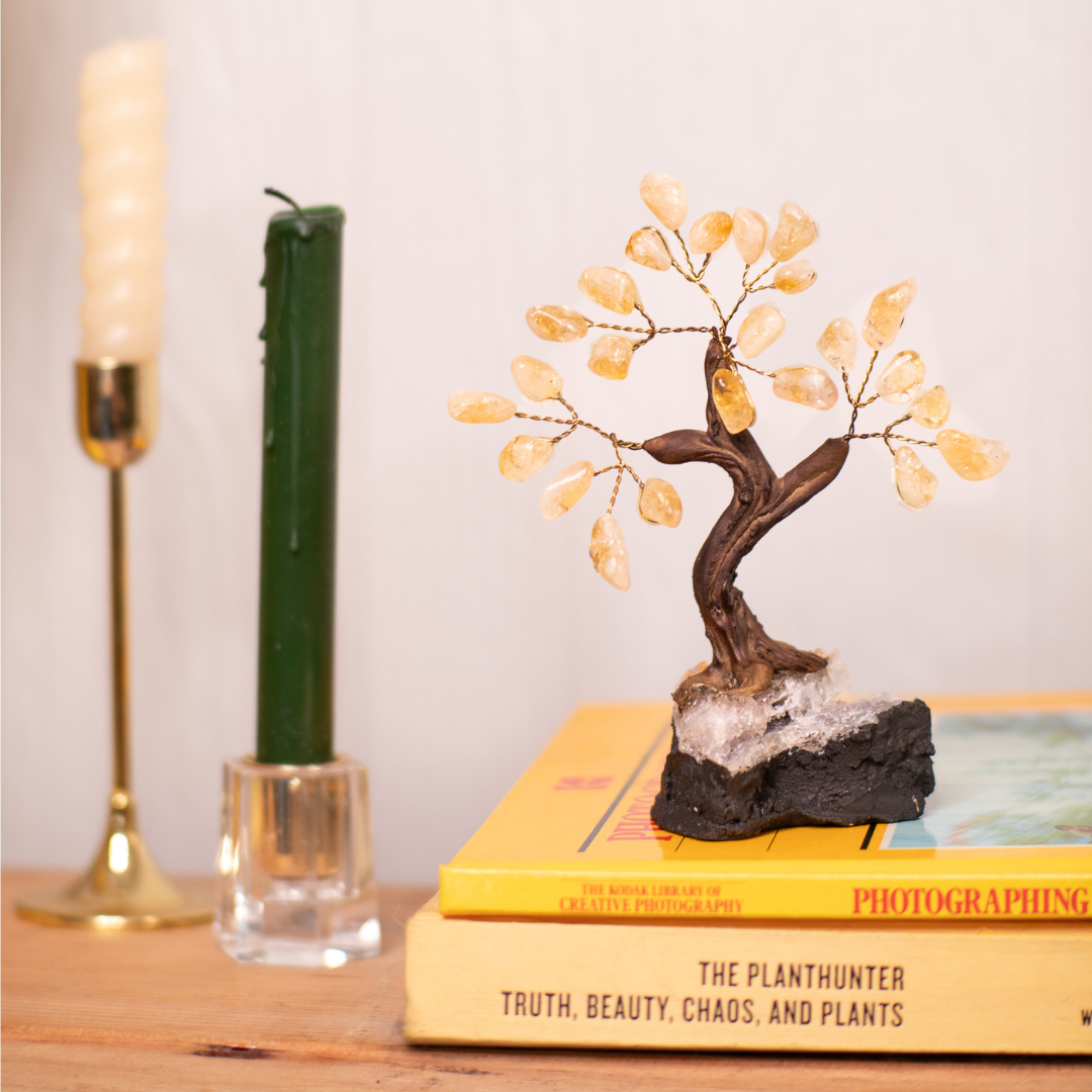citrine money tree benefits Citrine Money Tree, Shop Citrine Home Decor at Energy Muse