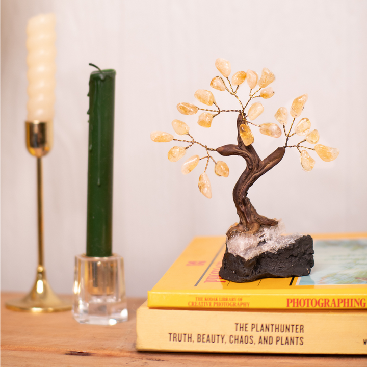 citrine money tree placement Citrine Money Tree, Shop Citrine Home Decor at Energy Muse