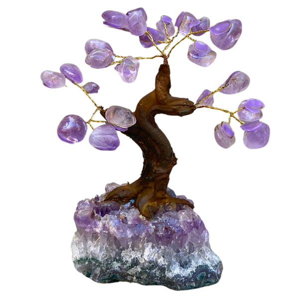 Amethyst Money Tree