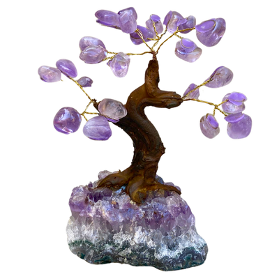 Amethyst Money Tree