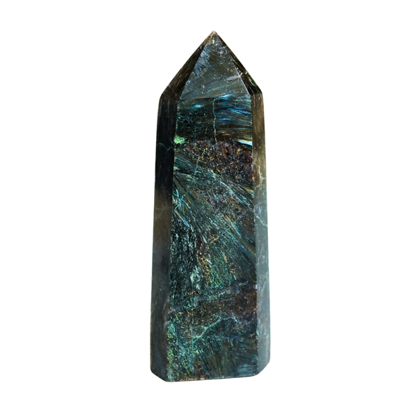 Astrophyllite Point