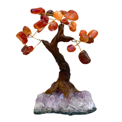 Carnelian Money Tree