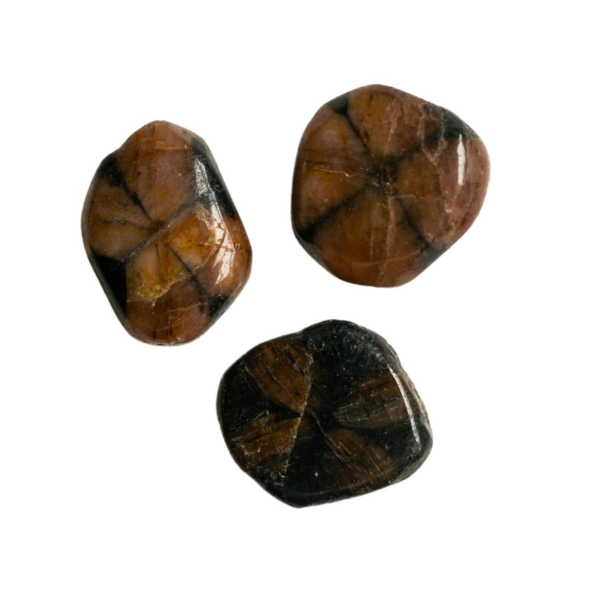Chiastolite Stone