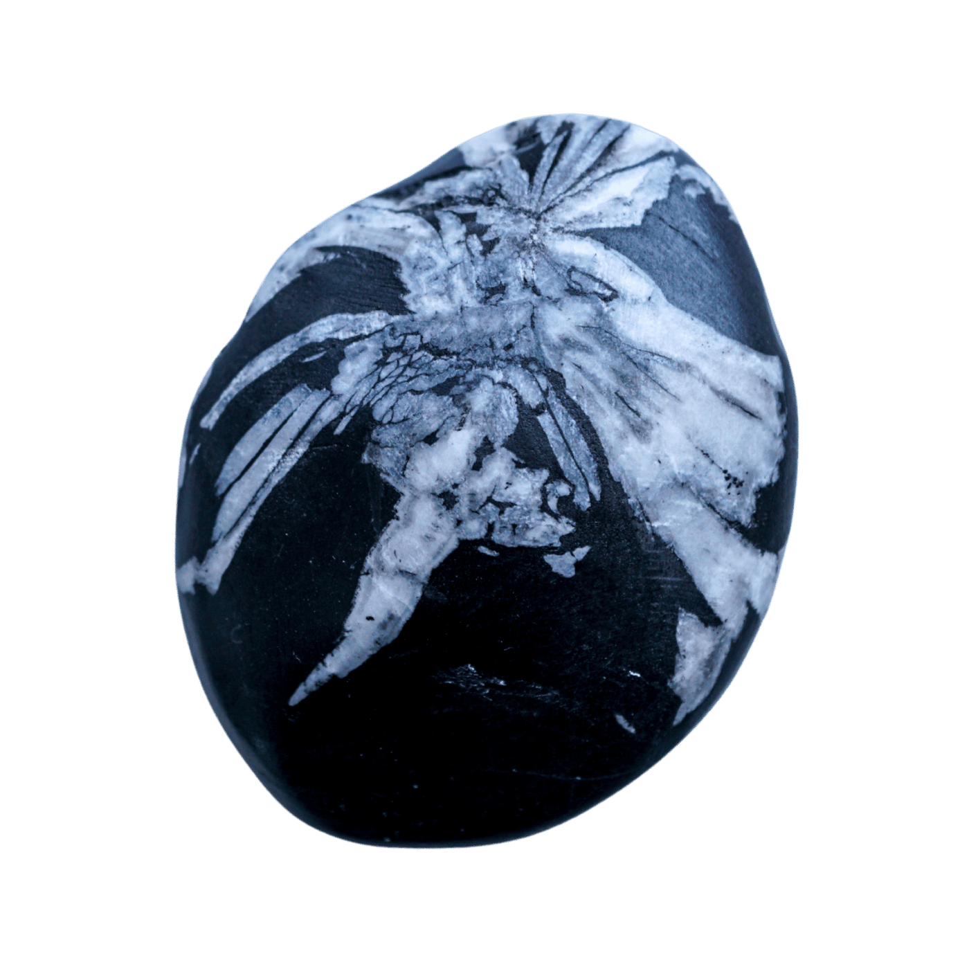 Chrysanthemum Stone | Shop Chrysanthemum Palm Stones from Energy Muse