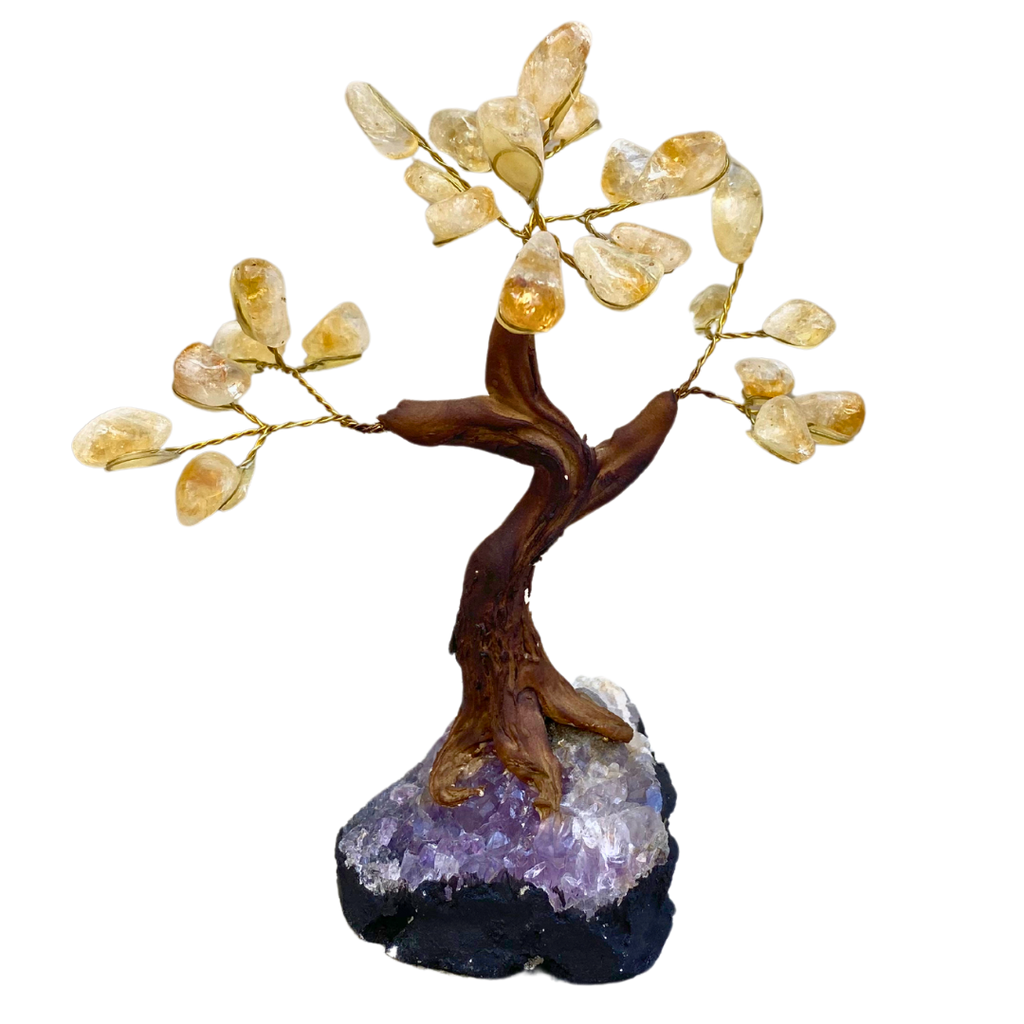 Citrine Money Tree, Shop Citrine Home Decor at Energy Muse