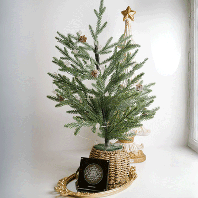 Clear Quartz Crystal String Lights