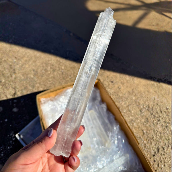 Coahuila Selenite Crystal