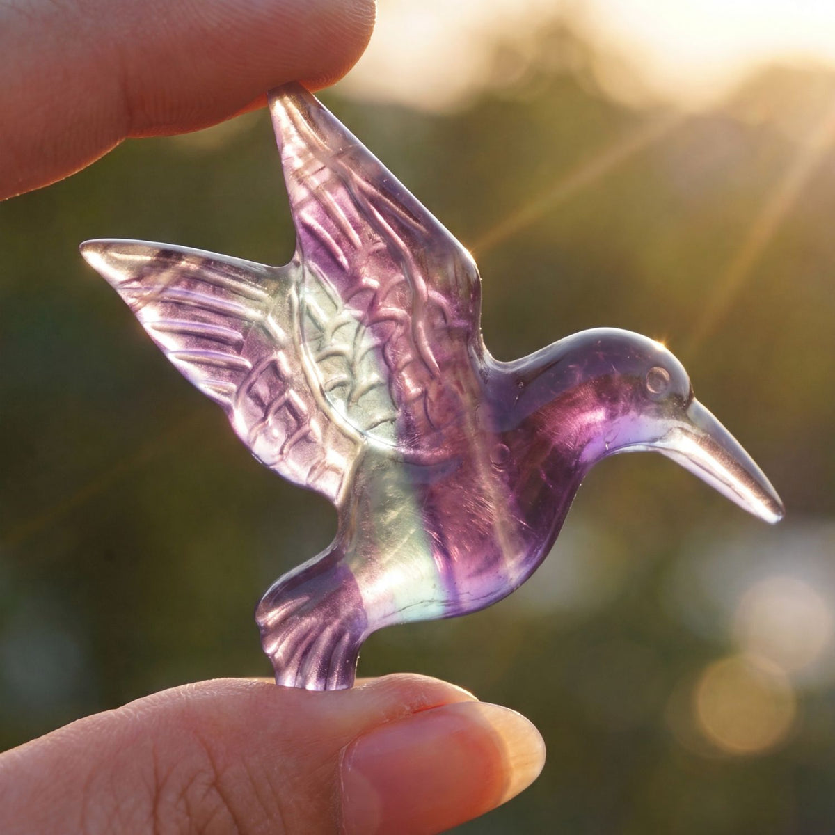 Fluorite Hummingbird