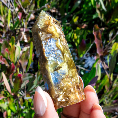 Golden Starburst Mica Point