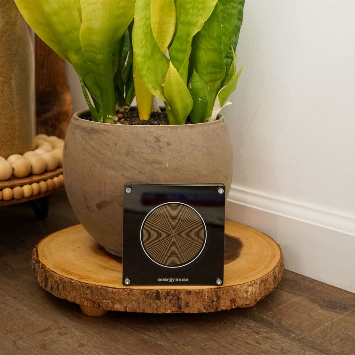 Home Frequency Bundle