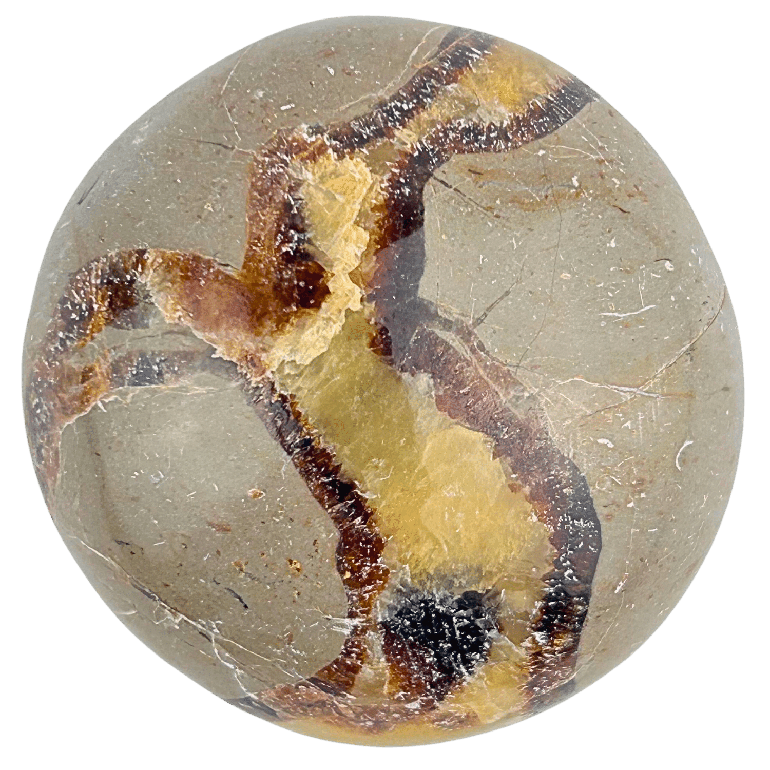 Septarian Touchstone #241 – Energy Muse