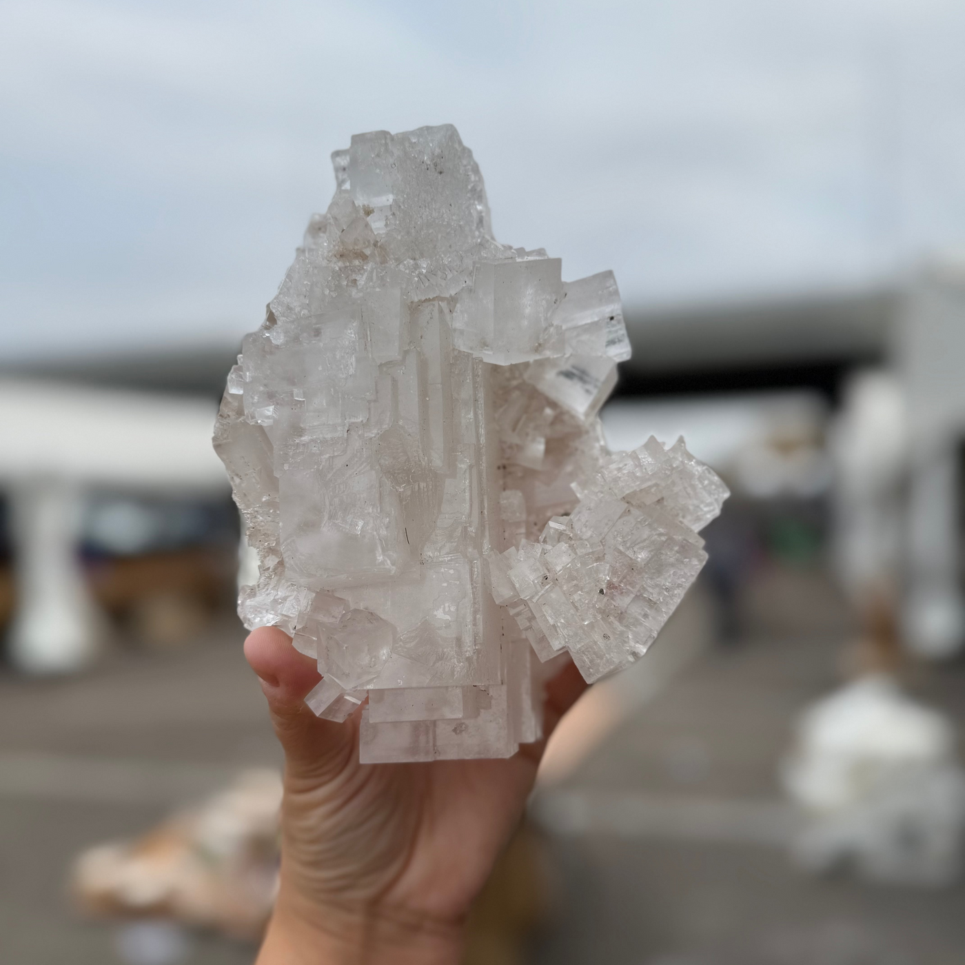 Cubic Halite Salt Specimen