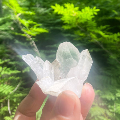 Chlorite Quartz Crystal Cluster