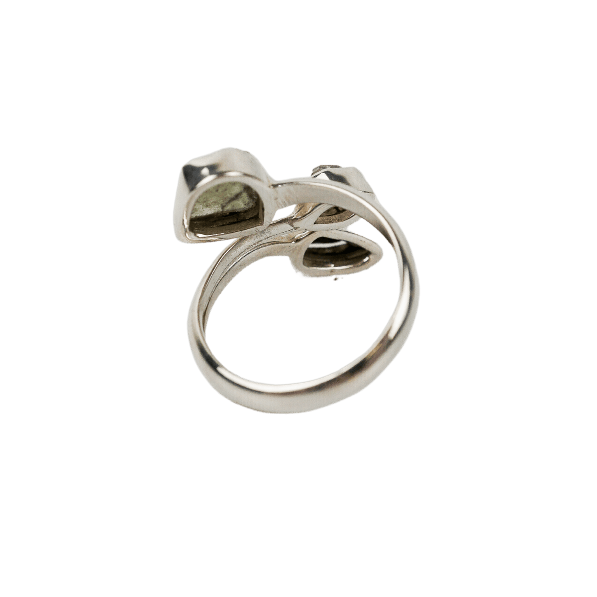 Interstellar Light Ring
