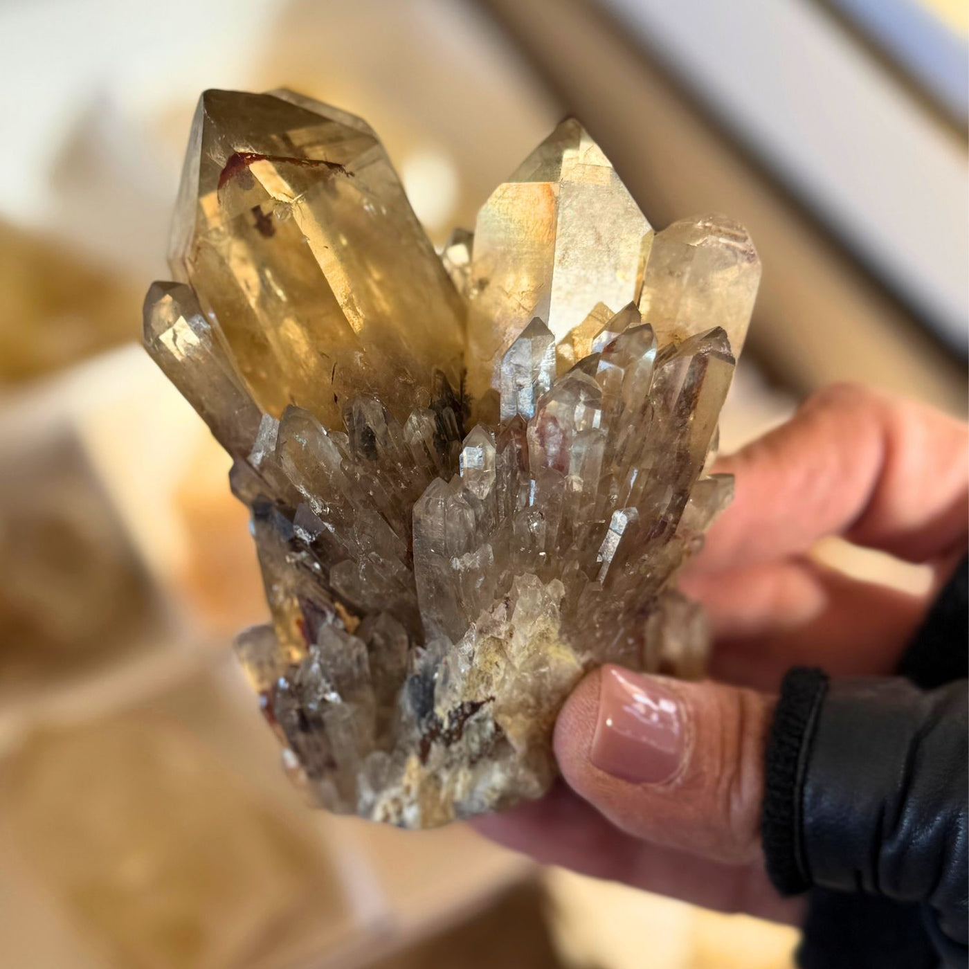 Elestial Kundalini Citrine | Shop Citrine at Energy Muse