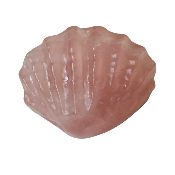Rose Quartz Scallop Shell